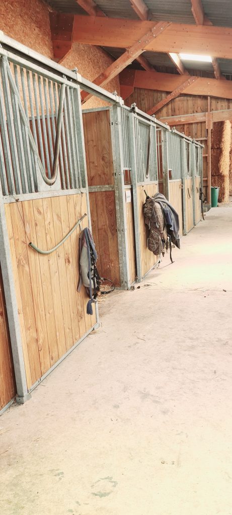 Allée de la grande écurie de l'élevage Keziah dont les portes en bois coulissantes des box sont ouvertes