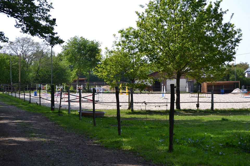 La carrière extérieure en sable blanc de l'élevage Keziah derrière un paddock arboré et garni d'herbe.
