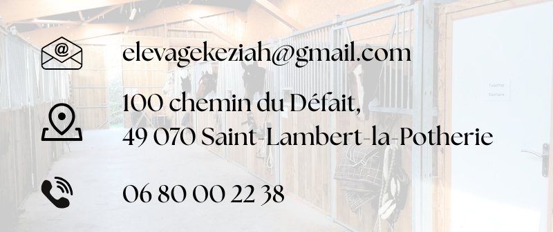 Image présentant les coordonnées de l'élevage Keziah : adresse mail, adresse postale et numéro de téléphone.