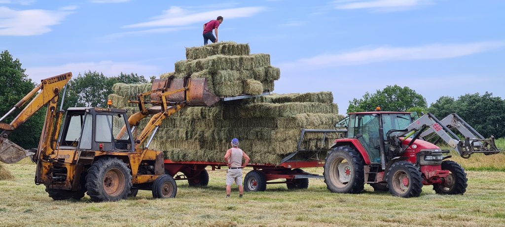 Remorque agricole en cours de chargement de de bottes de foin avec un homme perché en haut de la pile.