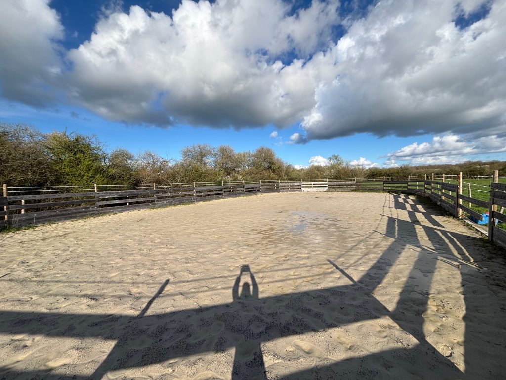 Le rond d'Harvrincourt de l'élevage Keziah